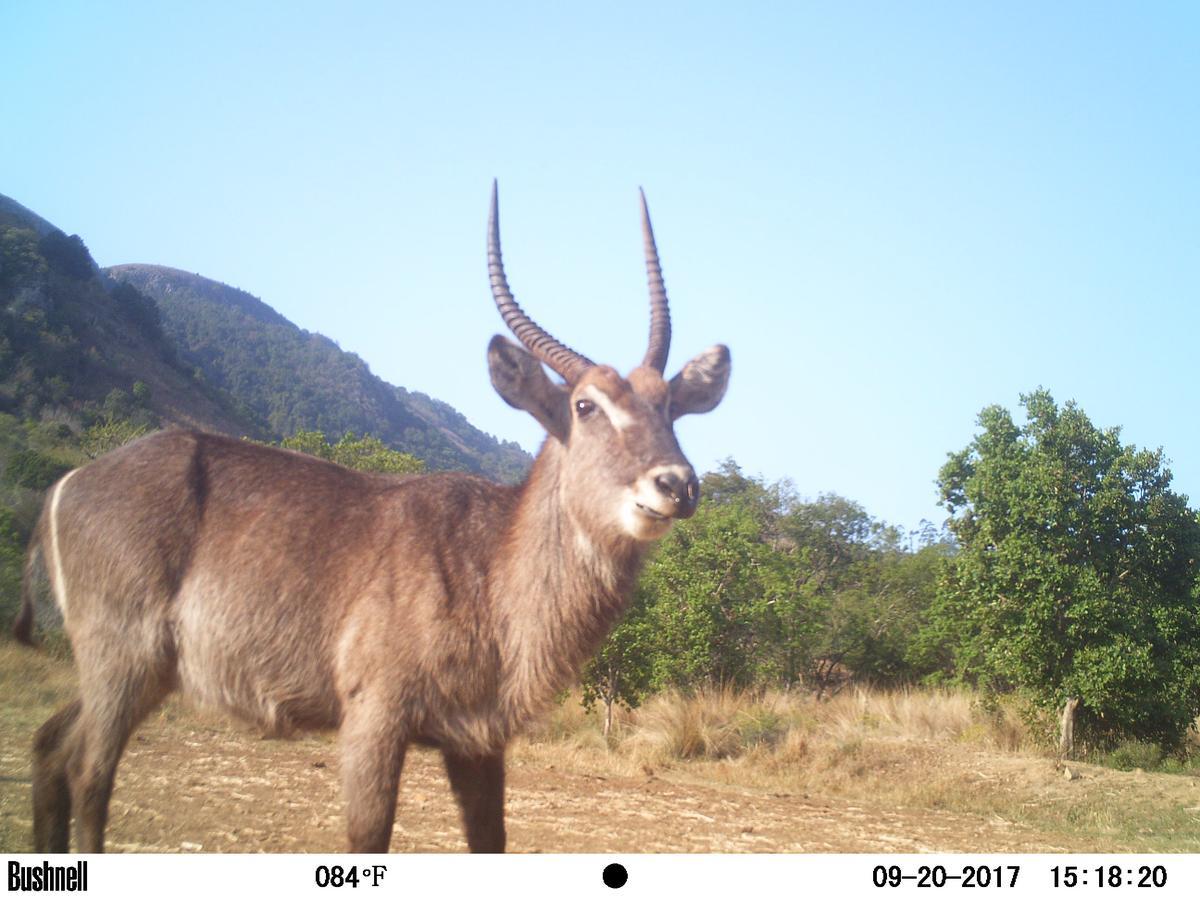 Kilmorna Manor Guest House Shoemanskloof ภายนอก รูปภาพ