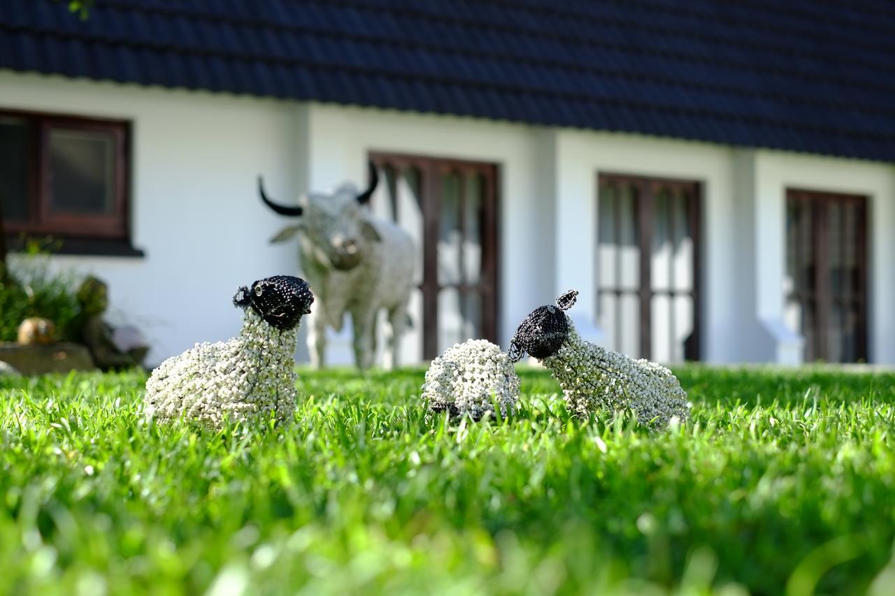 Kilmorna Manor Guest House Shoemanskloof ภายนอก รูปภาพ